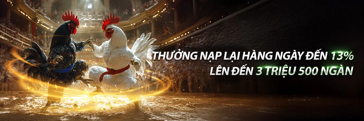 Đá gà trực tuyến đỉnh cao tại okchoi link vào