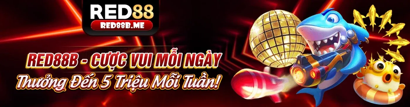 Hình ảnh banner Okchoi link vào an toàn